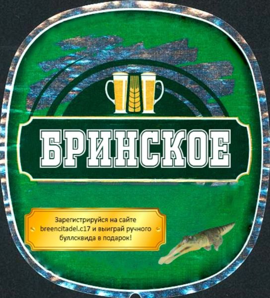 Файл:Бринское.jpg