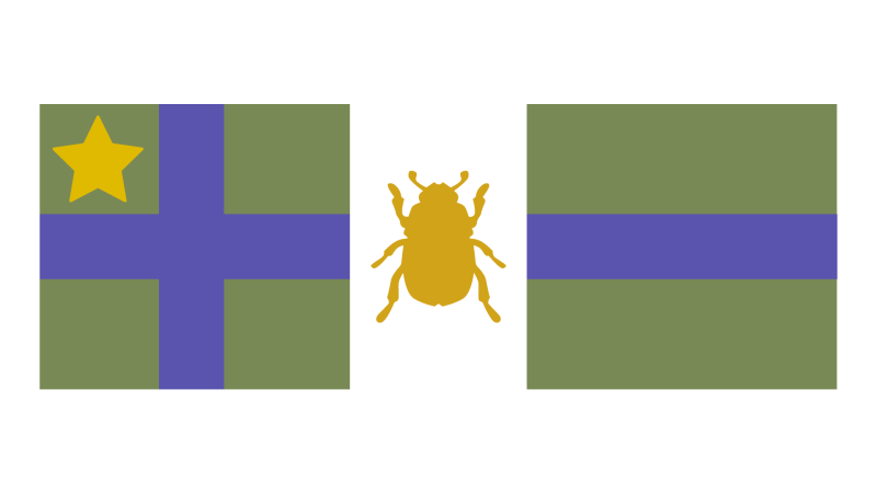 Файл:Орден "Золотой Жук" 1.png