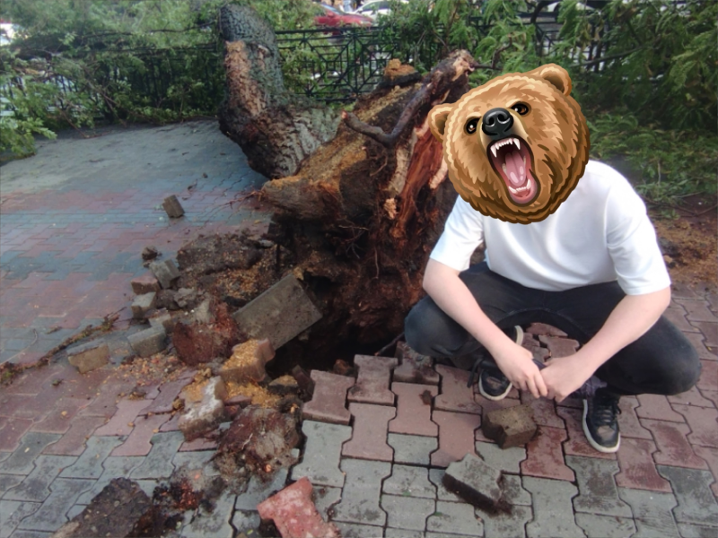 Файл:Оригинал Брода Из Бутерброда.png