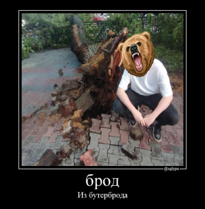 Бро Из Бутерброда, мем от сглыпы