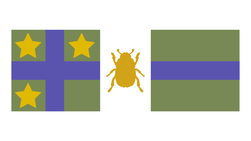 Файл:Орден "Золотой Жук" 3.png