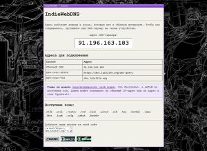 Скриншот главной страницы IndieWebDNS
